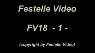 FV18: complete download