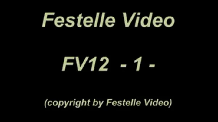 FV12: complete download