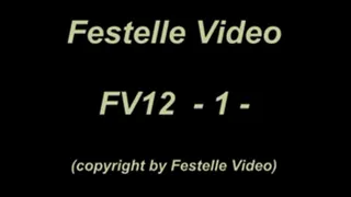 FV12: complete download