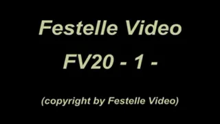 FV20: complete download