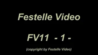 FV11: complete download