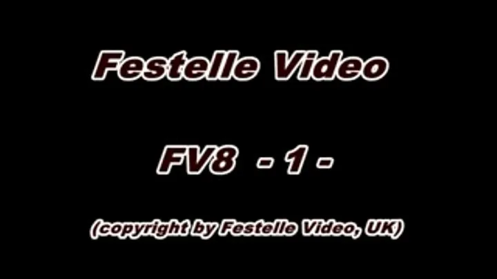 FV8: complete download