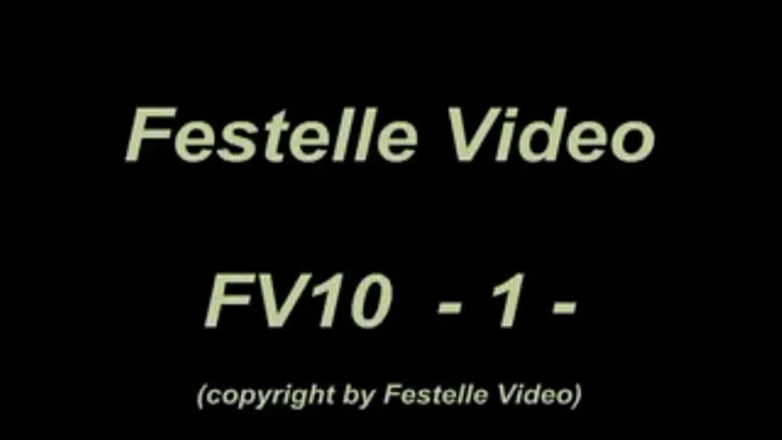 FV10: complete download