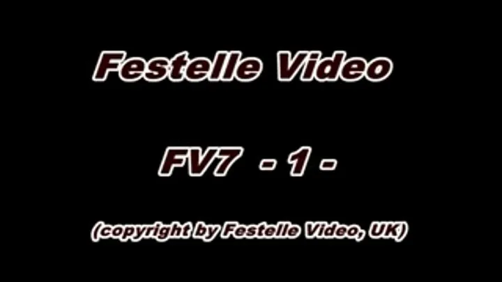 FV7: complete download