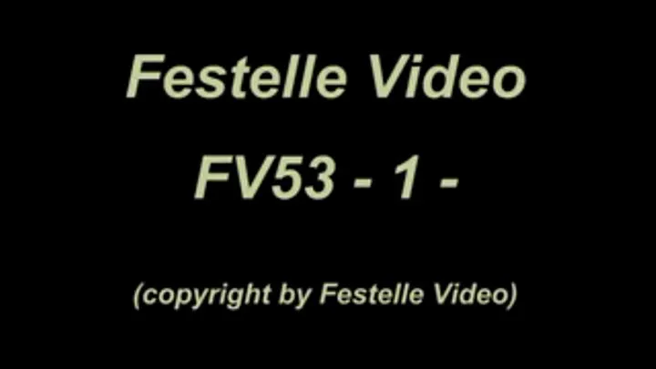 FV53: complete download