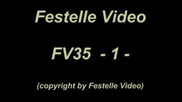 FV35: complete download