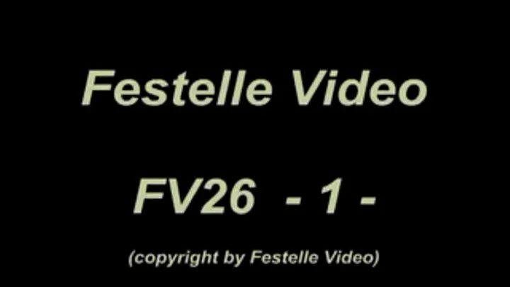 FV26: complete download