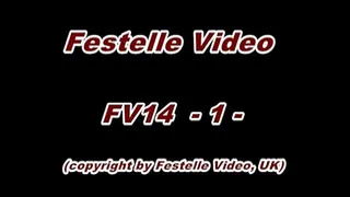 FV14-1 Jo vs Joy