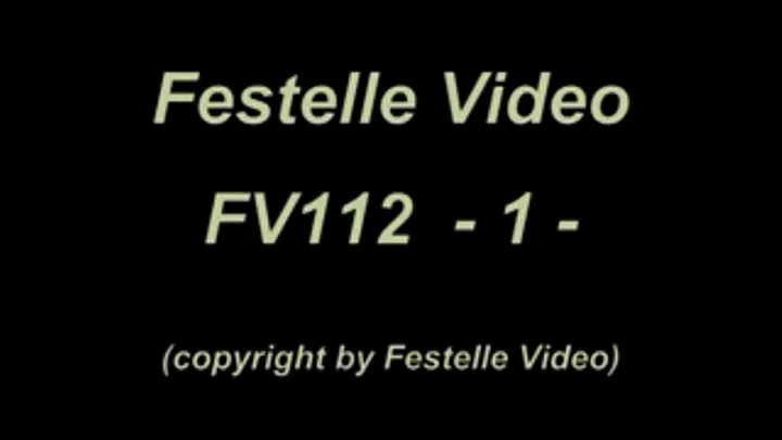 FV112: complete download