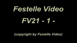 FV21: complete download