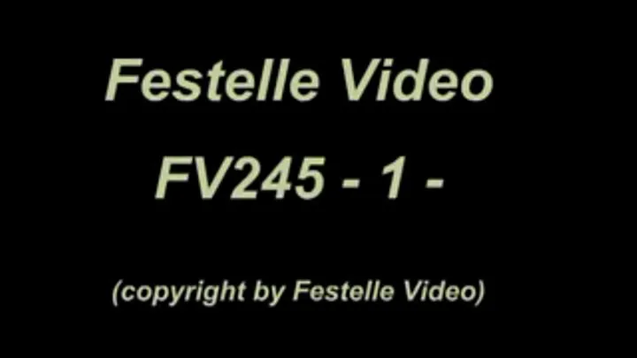 FV245: complete download