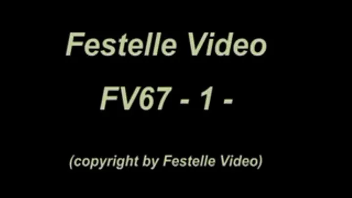 FV67: complete download