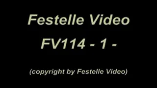 FV114: complete download