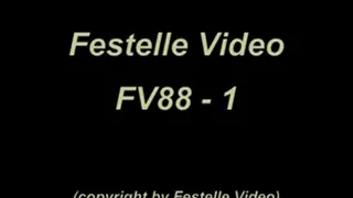 FV88: complete download