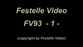 FV93: complete download