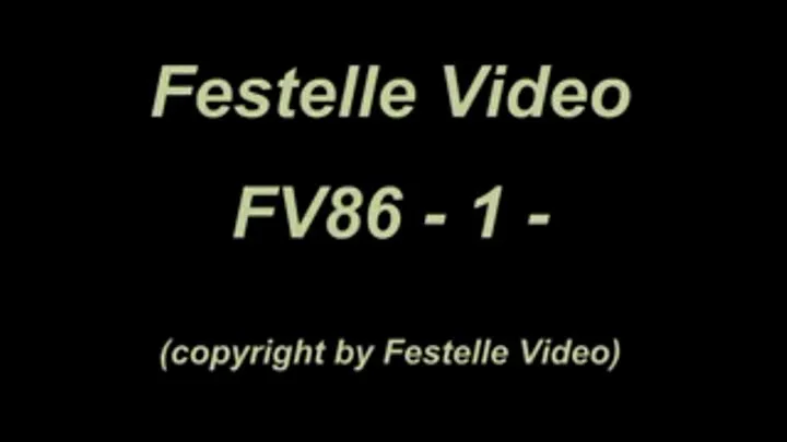 FV86: complete download