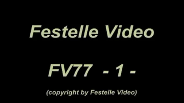 FV77: complete download