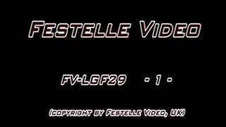 FV-LGF29: complete download