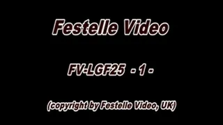 FV-LGF25 : complete download