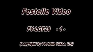 FV-LGF28: complete download