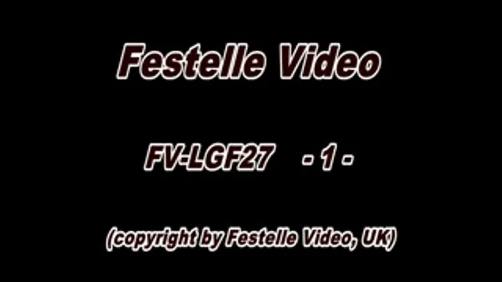 FV-LGF27: complete download