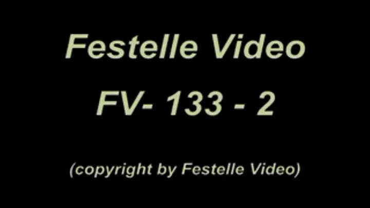 FV133-2: 2. Fight 2 & 3