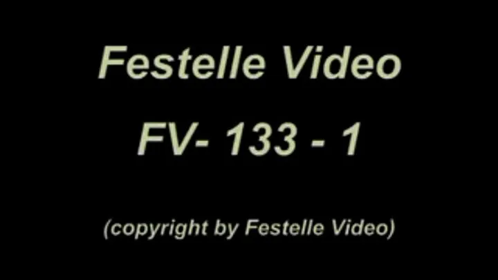 FV133: complete download