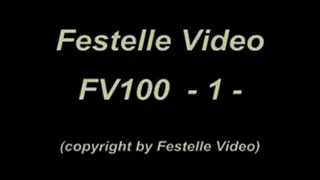 FV100: complete download