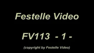 FV113: complete download