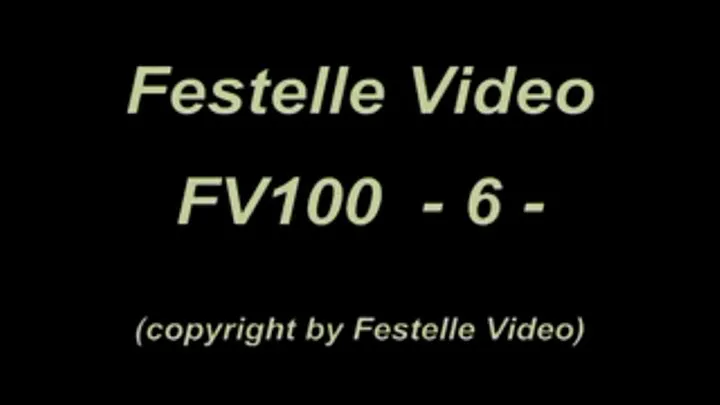 FV100-6 Best of