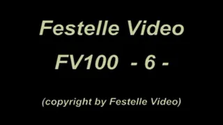 FV100-6 Best of