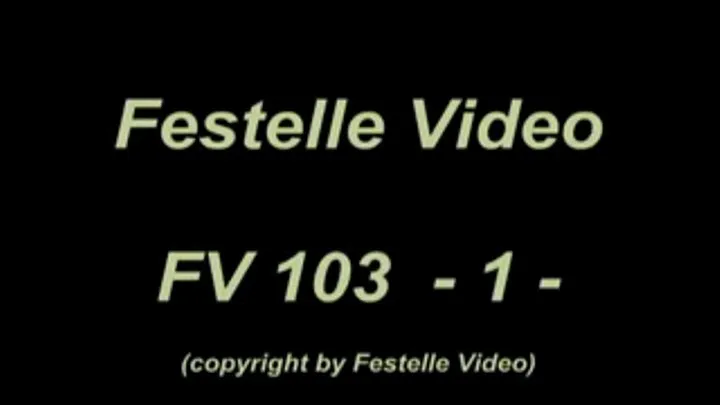 FV103: complete download