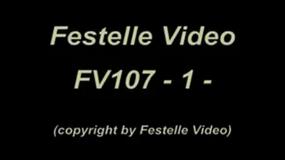 FV107: complete download