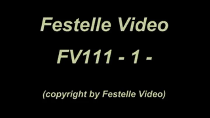 FV111: complete download