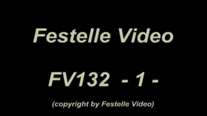 FV132: complete download