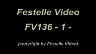 FV136: complete download