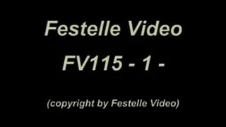 FV115: complete download