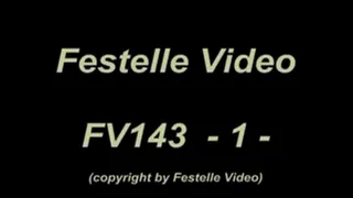 FV143: complete download