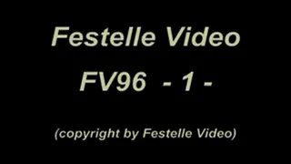 FV96: complete download