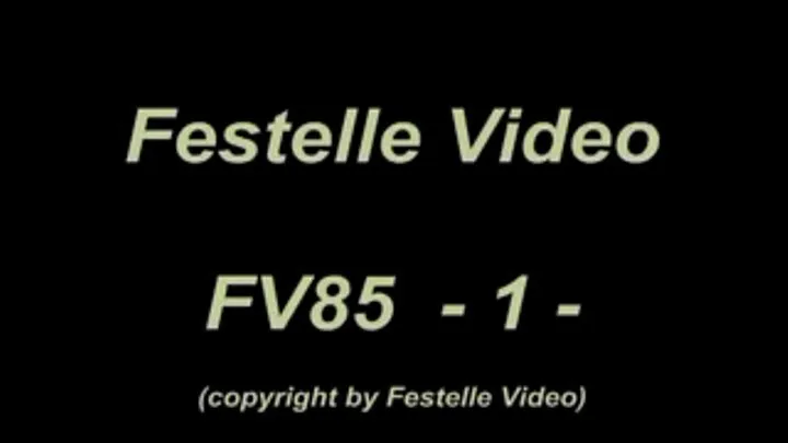 FV85: complete download