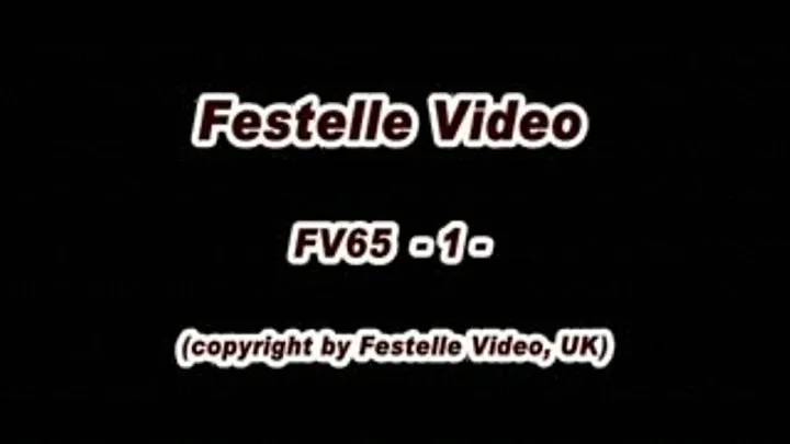 FV65: complete download