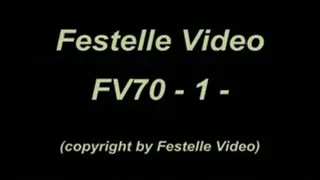 FV70: complete download