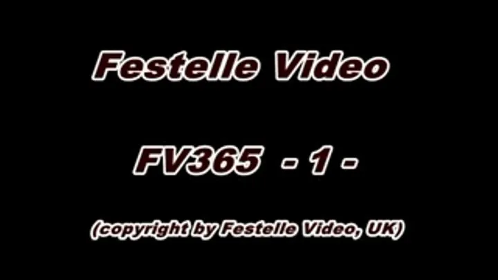 FV365: complete download