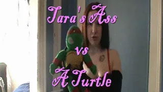 Tara's Ass vs. A Turtle