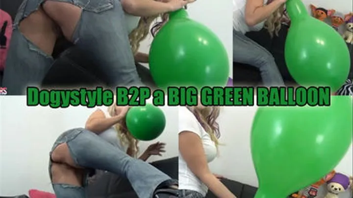 Dogystyle B2P a BIG Balloon