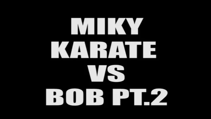 Miky karate VS Bob pt.2