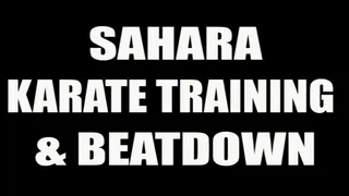 Sahara karate training beatdown