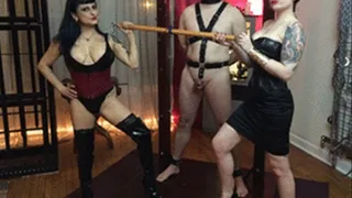 Tormented by Mistress Alexandra and Goddess Lily