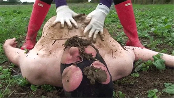 Disgusting mud eating pig