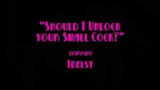 Should I Unlock Your Small Cock?